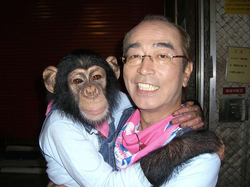「天才志村動物園」で共演中の志村けんさんとチンパンジーのパンくん。小さい子にとっては志村けんさんは園長のイメージが強いかもしれませんね。
