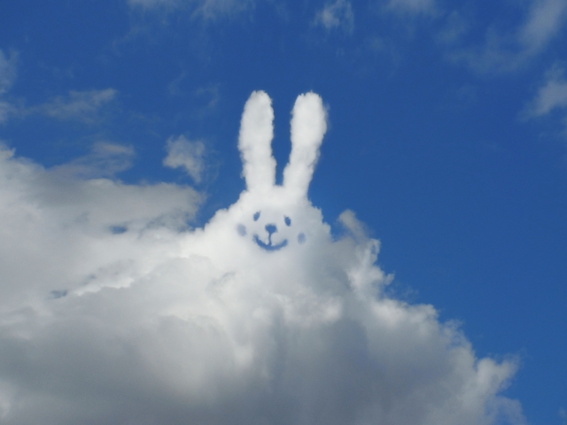 うさぎの形をした雲が浮かんでいる青空。可愛らしいウサギさんですね。