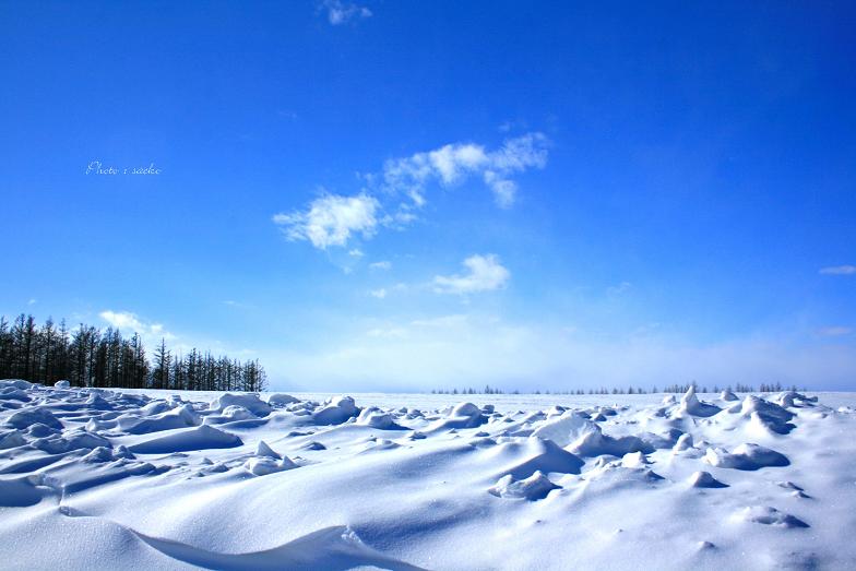 雪原が広がる青空。きりっとした空気を感じられそうですね。